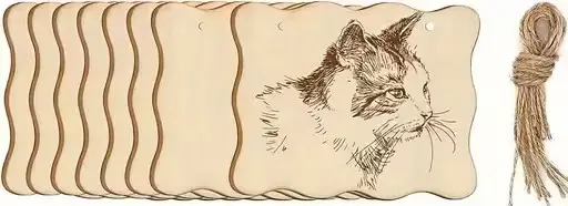 Sketch of a cat on a vintage, curled paper background.